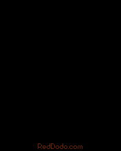 ���� ������